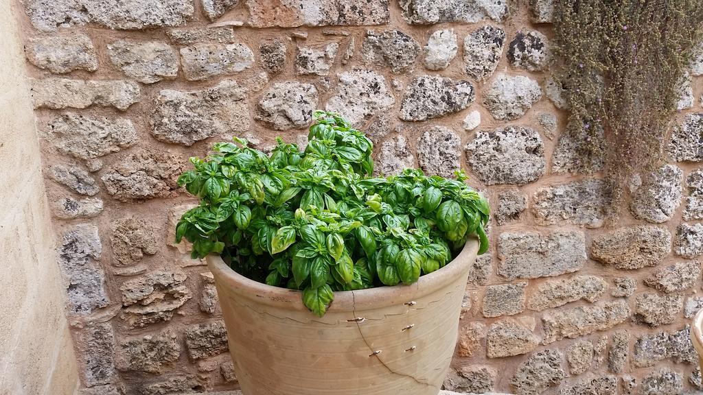 Masseria Ruri Pulcra Patù Eksteriør billede